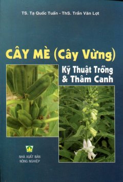 Cây Mè (Cây Vừng) – Kỹ Thuật Trồng & Thâm Canh