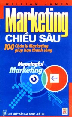 Marketing Chiều Sâu – 100 Chân lý Marketing Giúp Bạn Thành Công