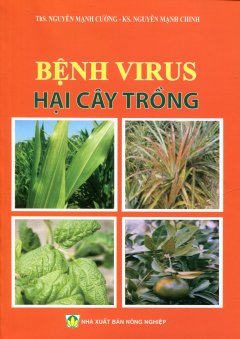 Bệnh Virus Hại Cây Trồng