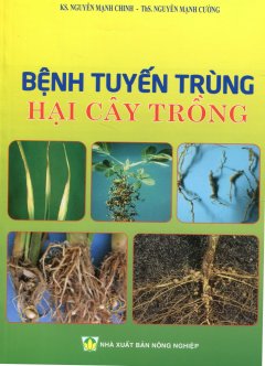 Bệnh Tuyến Trùng Hại Cây Trồng