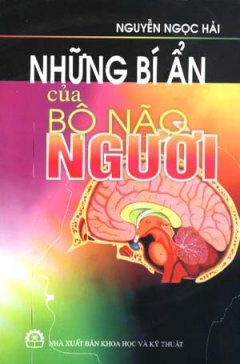 Những Bí Ẩn Của Bộ Não Người