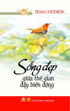 Sống Đẹp Giữa Thế Gian Đầy Biến Động