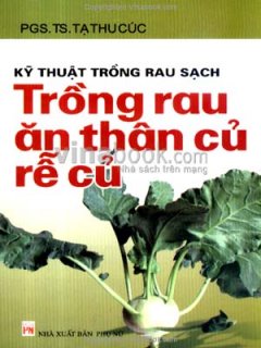 Kỹ Thuật Trồng Rau Sạch – Trồng Rau Ăn Thân Củ Rễ Củ