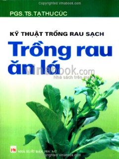 Kỹ Thuật Trồng Rau Sạch – Trồng Rau Ăn Lá