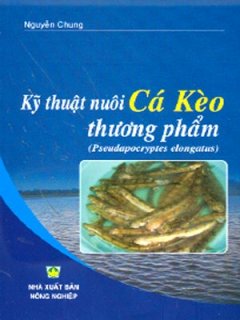 Kỹ Thuật Nuôi Cá Kèo Thương Phẩm