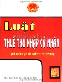 Luật Thuế Thu Nhập Cá Nhân (Có Hiệu Lực Từ Ngày 01/01/2009)