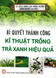 Bí Quyết Thành Công Kĩ Thuật Trồng Trà Xanh Hiệu Quả