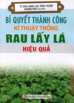 Bí Quyết Thành Công Kĩ Thuật Trồng Rau Lấy Lá Hiệu Quả