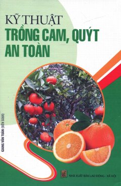 Kỹ Thuật Trồng Cam, Quýt An Toàn