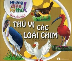 Những Điều Kỳ Thú! Bạn Cần Biết! – Thú Vị Các Loài Chim