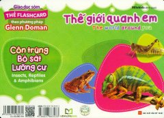 Thẻ Flashcard – Thế Giới Quanh Em: Côn Trùng – Bò Sát – Lưỡng Cư