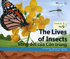 The Lives Of Insects – Vòng Đời Của Côn Trùng (Trình Độ 1 – Tập 9) – Kèm 1 CD