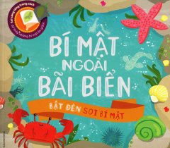 Bí Mật Ngoài Bãi Biển (Bật Đèn Soi Bí Mật)