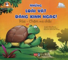 Những Loài Vật Đáng Kinh Ngạc! – Rùa – Chậm Mà Chắc