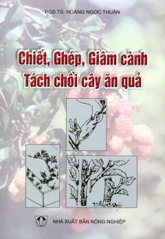 Chiết, Ghép, Giâm Cành Tách Chồi Cây Ăn Quả