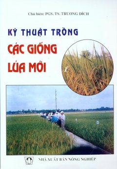 Kỹ Thuật Trồng Các Giống Lúa Mới