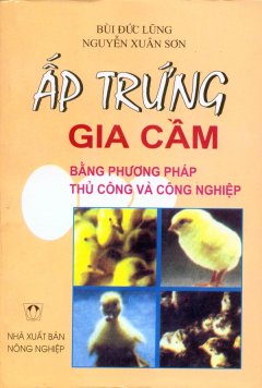 Ấp Trứng Gia Cầm Bằng Phương Pháp Thủ Công Và Công Nghiệp