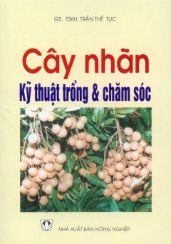 Cây Nhãn – Kỹ Thuật Trồng Và Chăm Sóc