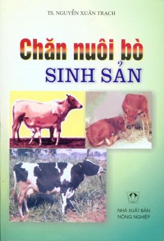 Chăn Nuôi Bò Sinh Sản