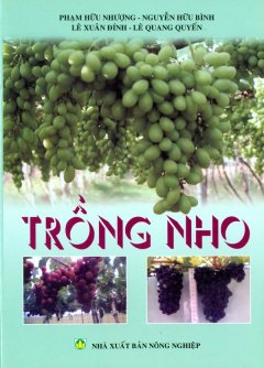 Trồng Nho