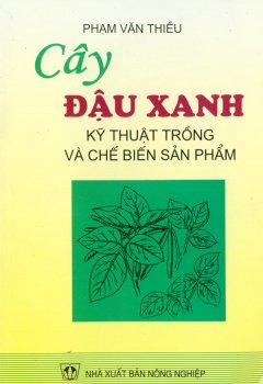 Cây Đậu Xanh – Kỹ Thuật Trồng Và Chế Biến Sản Phẩm