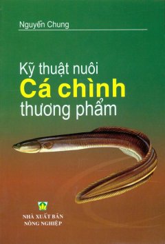 Kỹ Thuật Nuôi Cá Chình Thương Phẩm