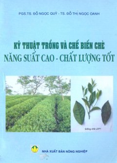 Kỹ Thuật Trồng Và Chế Biến Chè Năng Suất Cao – Chất Lượng Tốt