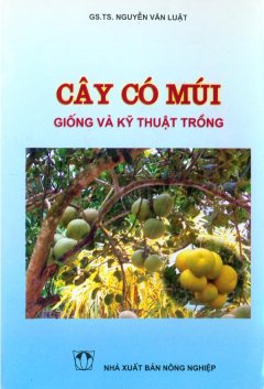 Cây Có Múi – Giống Và Kỹ Thuật Trồng