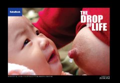 The Drop Of Life – Giọt Đời (Sách Ảnh)