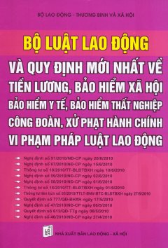 Bộ Luật Lao Động Và Quy Định Mới Nhất Về Tiền Lương, Bảo Hiểm Xã Hội, Bảo Hiểm Y Tế, Bảo Hiểm Thất Nghiệp, Công Đoàn, Xử Phạt Hành Chính, Vi Phạm Pháp Luật Lao Động