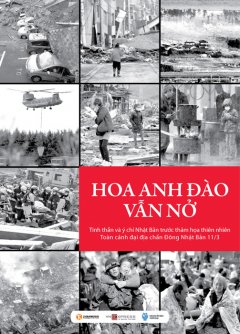 Hoa Anh Đào Vẫn Nở