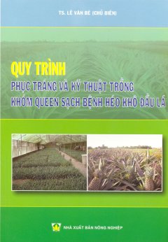 Quy Trình Phục Tráng Và Kỹ Thuật Trồng Khóm Queen Sạch Bệnh Héo Khô Đầu Lá