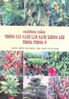 Hướng Dẫn Trồng Cây Cảnh Làm Sạch Không Khí Trong Phòng Ở