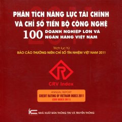 Phân Tích Năng Lực Tài Chính Và Chỉ Số Tiến Bộ Công Nghệ 100 Doanh Nghiệp Lớn Và Ngân Hàng Việt Nam