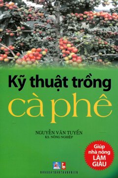 Kỹ Thuật Trồng Cà Phê