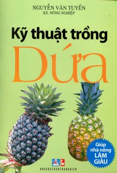 Kỹ Thuật Trồng Dứa