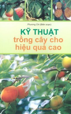 Kỹ Thuật Trồng Cây Cho Hiệu Quả Cao