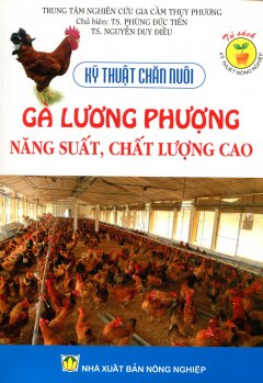 Kỹ Thuật Chăn Nuôi – Gà Lương Phượng Năng Suất, Chất lượng Cao