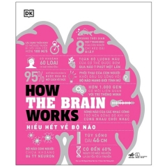 How The Brain Works – Hiểu Hết Về Bộ Não